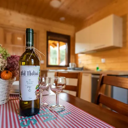 Дом отдыха Domki Rys *